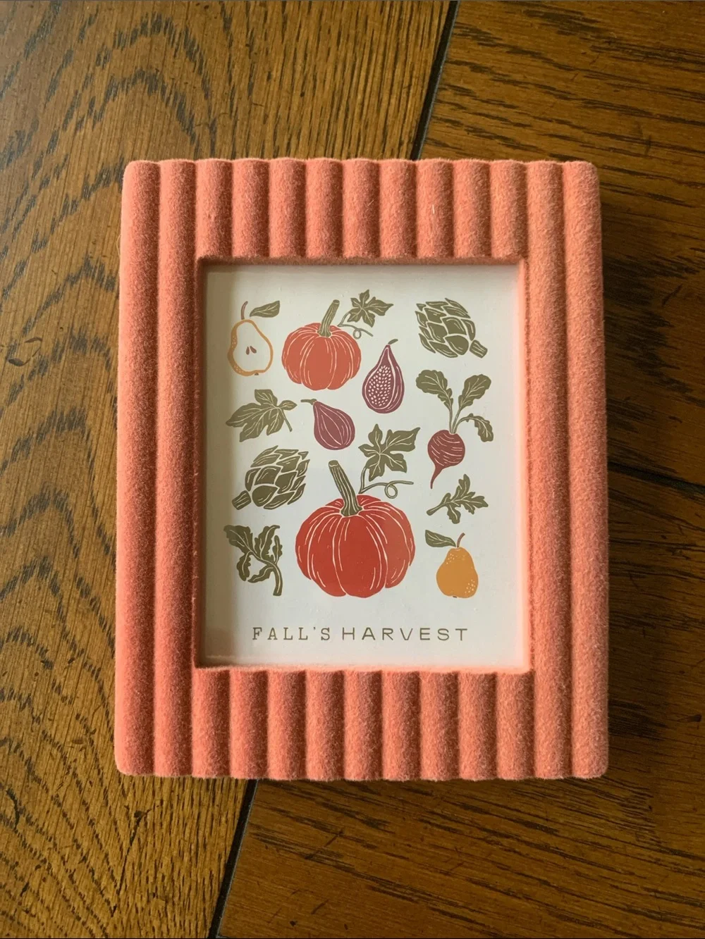 Coral Ridged Velvet Photo Frame Fall Decor